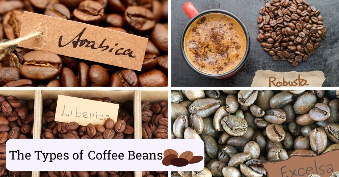 Types of coffee beans and their flavor profiles